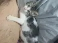 Tom