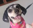 Teka
