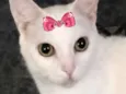 Nana