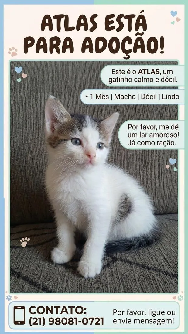 Gato raça SRD-ViraLata idade Abaixo de 2 meses nome Atlas