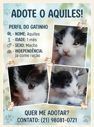 Gato raça SRD-ViraLata idade Abaixo de 2 meses nome Aquiles