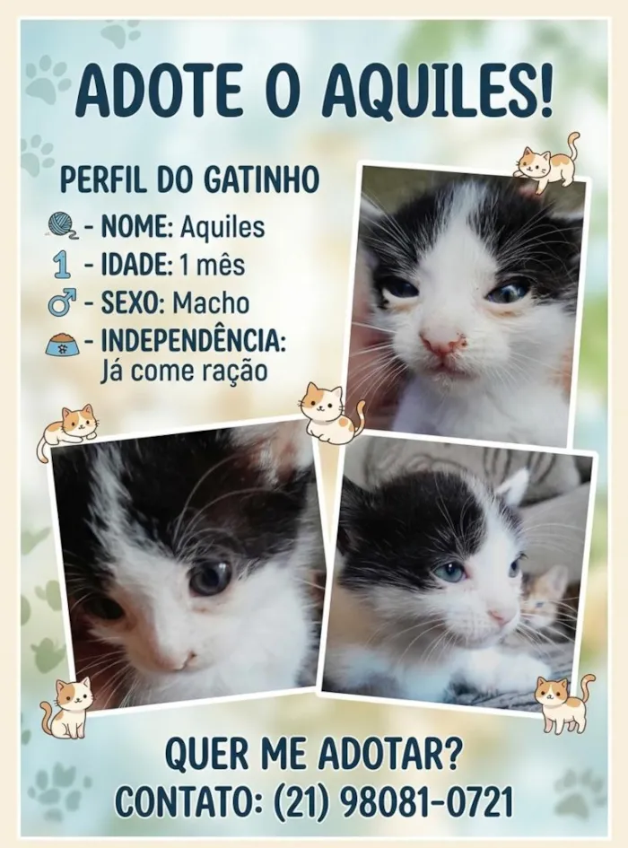 Gato raça SRD-ViraLata idade Abaixo de 2 meses nome Aquiles