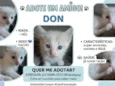 Don
