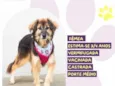 Chita