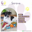 Serena