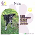 Nala