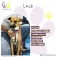 Luck