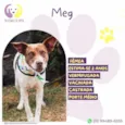 Meg