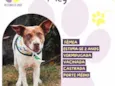 Meg