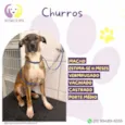 Churros