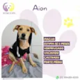 Aion