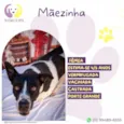 Mãezinha