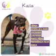 Kaila