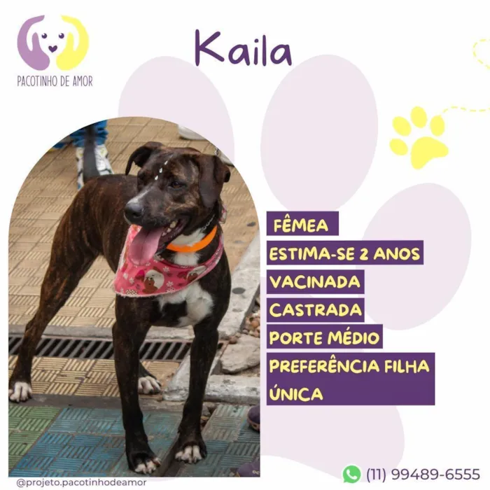 Cachorro raça SRD-ViraLata idade 2 anos nome Kaila