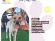 Athena