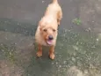 Fred