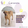 Caramela
