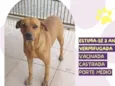 Caramela