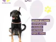 Bel