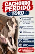 Toro
