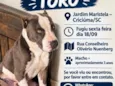 Toro