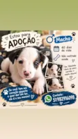 não tem nome ainda no momento