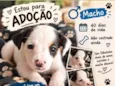 não tem nome ainda no momento 