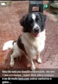 Bartolomeu