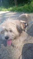 bili