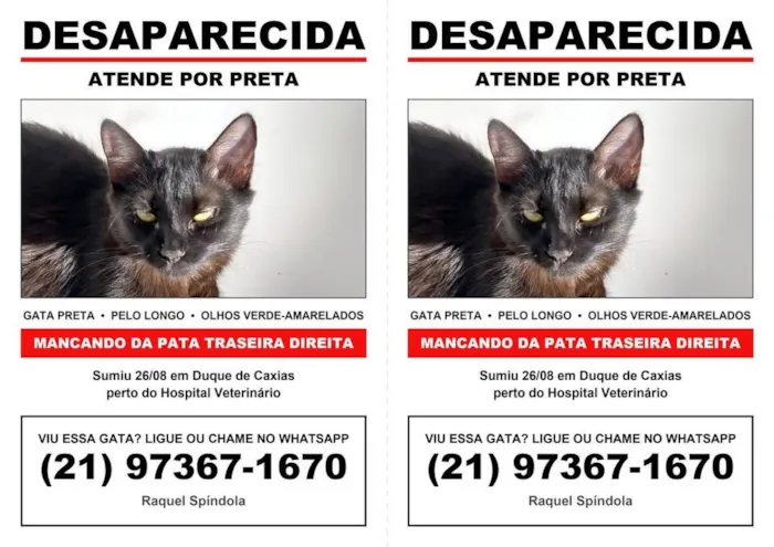Gato raça SRD-ViraLata idade 2 anos nome Preta