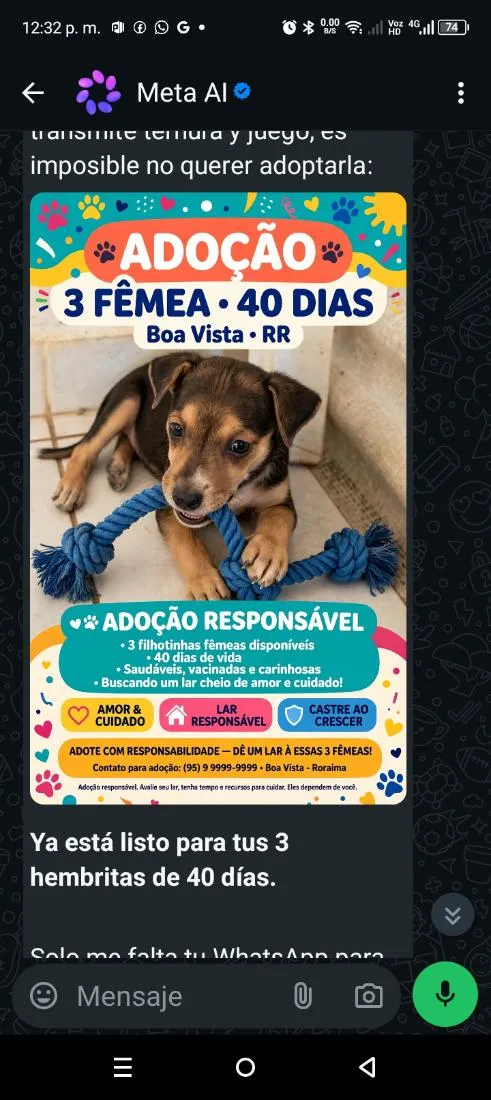 Cachorro raça SRD-ViraLata idade Abaixo de 2 meses nome luna