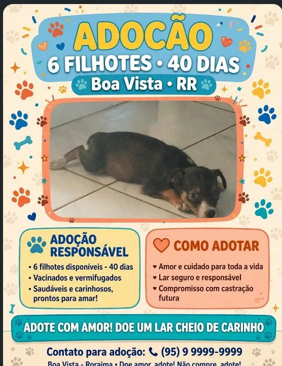 Cachorro raça SRD-ViraLata idade Abaixo de 2 meses nome luna