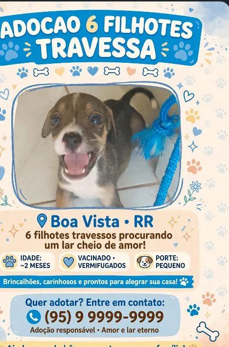 Cachorro raça SRD-ViraLata idade Abaixo de 2 meses nome luna