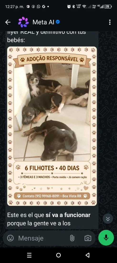 Cachorro raça SRD-ViraLata idade Abaixo de 2 meses nome luna