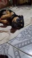 Lupita