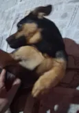 Lupita