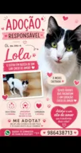 Lola