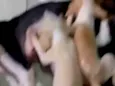 sem nomes 