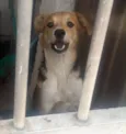 Lua