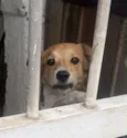 Lua
