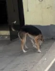 Lua