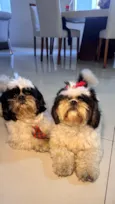 Cherie e Luigi