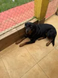 Zeus e Mel