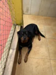 Zeus e Mel