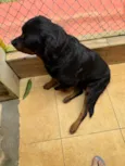 Zeus e Mel