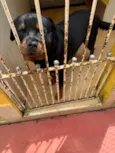 Zeus e Mel