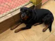Zeus e Mel