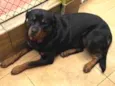 Zeus e Mel