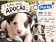 não tem nome ainda no momento