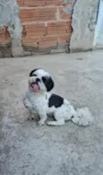 Luke